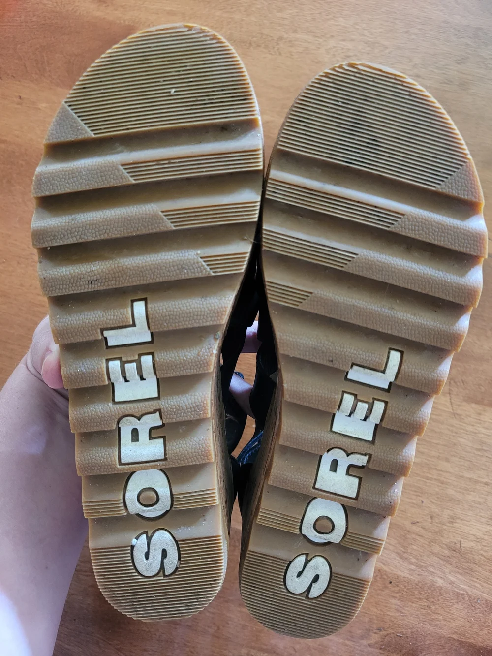 Black Lace-Up Cork Wedge Sandals - Women Sorel 7 Cameron Strappy Leather EUC